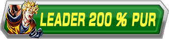 Leader 200 % Pur : Bonus Leader 200 % pour une catégorie