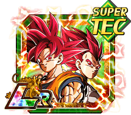 Son Goku Super Saiyan Divin & Vegeta Super Saiyan Divin [TEC] : Infini pouvoir saiyan [ZLR]
