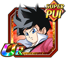 Videl ZTUR PUI