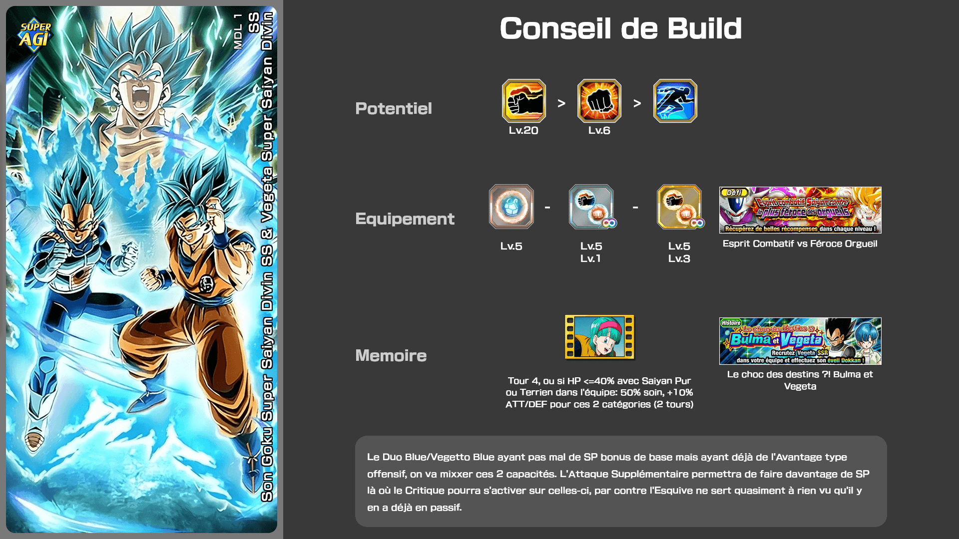 Fiche n°2Son Goku Super Saiyan Divin SS & Vegeta Super Saiyan Divin SS : Corps et âme dans le combat décisif