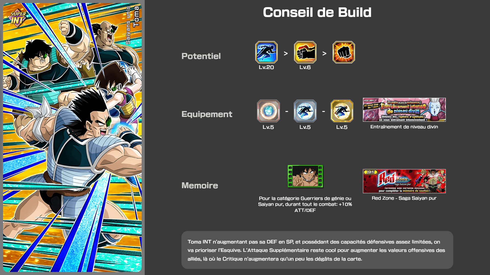Fiche n°1Toma : Saiyans unis